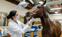 6eFTh7XkRc2b9EgPZcnang