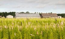 da44d11e-eda5-41bc-b33b-734f86d1591b