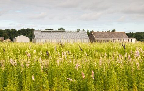 da44d11e-eda5-41bc-b33b-734f86d1591b